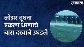 लोअर दूधना प्रकल्प धरणाचे बारा दरवाजे उघडले; पाहा व्हिडिओ}