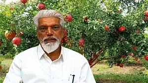 कृषिमंत्री दादा भुसे शनिवारी सांगोला दौऱ्यावर! डाळिंब उत्पादकांना कुतूहल कृषिमंत्री दादा भुसे शनिवारी सांगोला दौऱ्यावर! डाळिंब उत्पादकांना कुतूहल