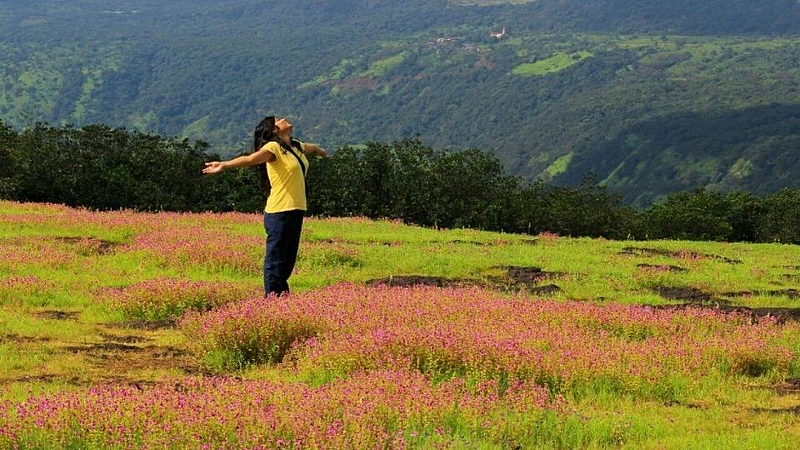 Kas flower plateau