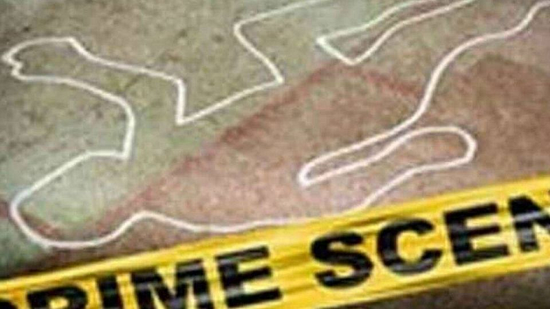 नाल्याच्या पाइपातून श्वानांनी काढली वस्तू अन् सर्वच झाले स्तब्ध