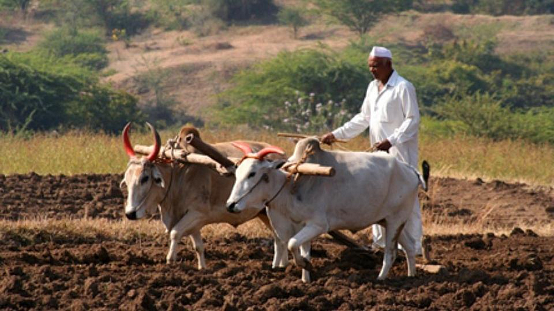 farming