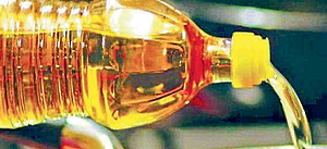 स्टार्ट अप :‘एमपीएससी’चा नाद सोडला, ‘कस्तुरी गोल्ड’चा जन्म झाला स्टार्ट अप :‘एमपीएससी’चा नाद सोडला, ‘कस्तुरी गोल्ड’चा जन्म झाला