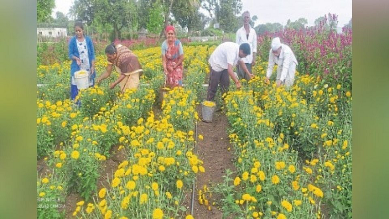 गौरी-गणपतीच्या सणामुळे फुलांना मागणी