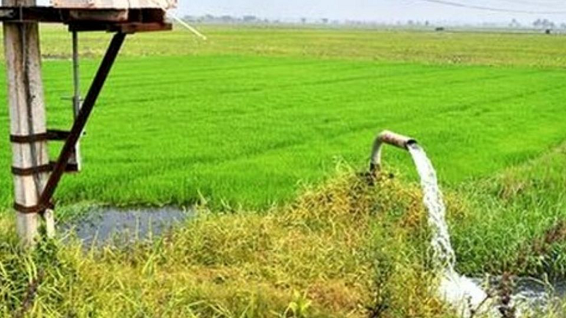 अकोला : जिल्ह्यातील पाच हजार शेतकरी थकबाकी मुक्त