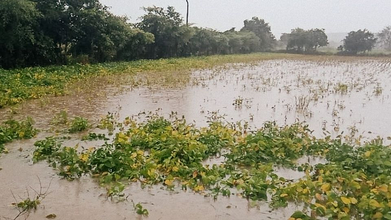 शेतकरी