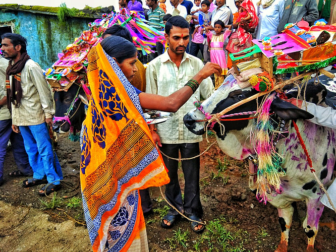बैलपोळा