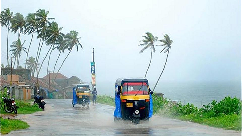 Rain
