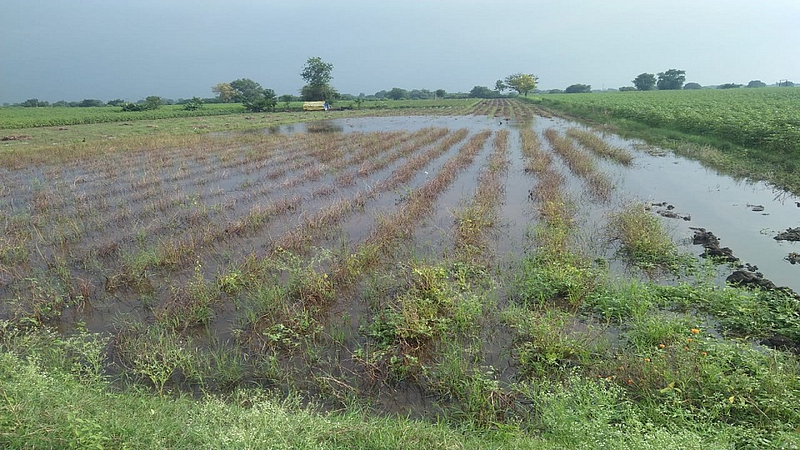 crop damage