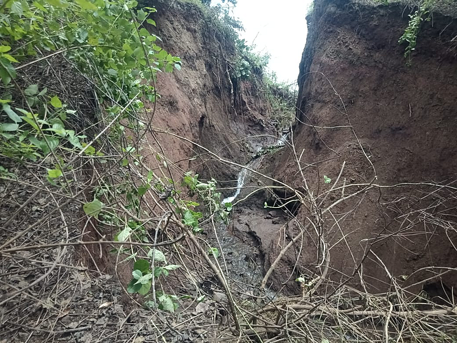 yavatmal