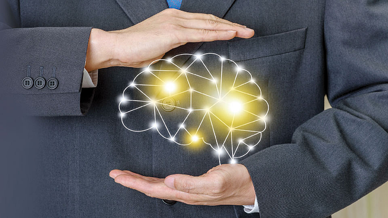 Brain