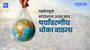पार्सलमुळे कोरोनाला आळा मात्र, पर्यावरणीय धोका वाढला पार्सलमुळे कोरोनाला आळा मात्र, पर्यावरणीय धोका वाढला