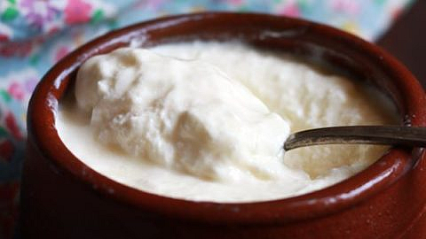 curd