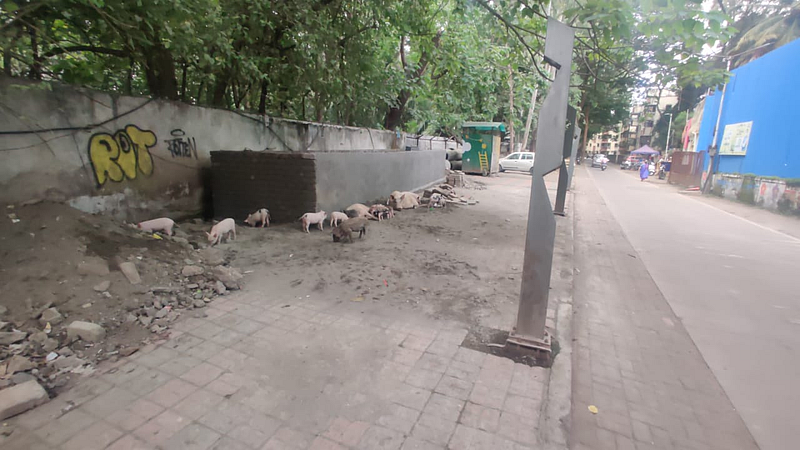 मॉडेल कॉलनीतील कचरा प्रकल्पास स्थानिकांचा विरोध