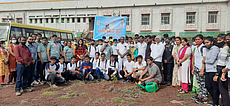Tree plantation Tree plantation