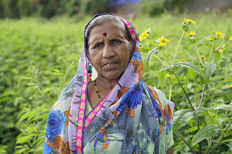 An energetic journey of Navdurga blossoming paradise in agriculture