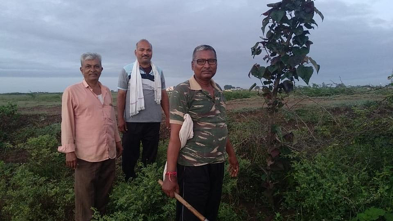 वृक्षलागवड आणि संवर्धनाचा छंद जोपासणारे त्रिकूट