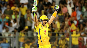 Faf du Plessis Faf du Plessis