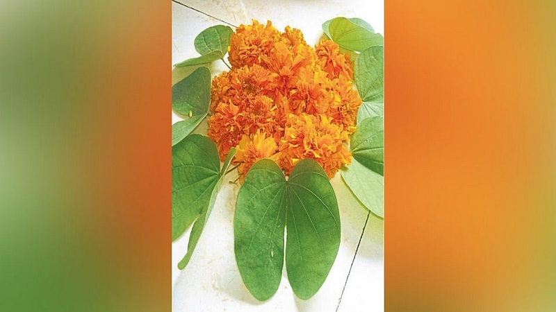 dasara 2021