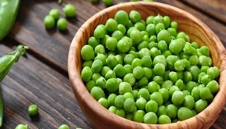 तुम्ही खाताय ते वाटाणे रंगवलेले तर नाहीत ना?
पहा कसे ओळखायचे?