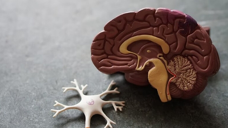 Treatment of Alzheimer