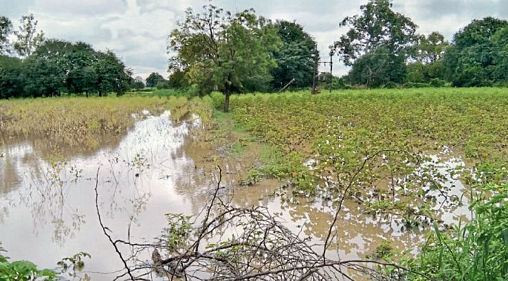 Beed : आधी दुष्काळ, आता अतिवृष्टीचा कहर