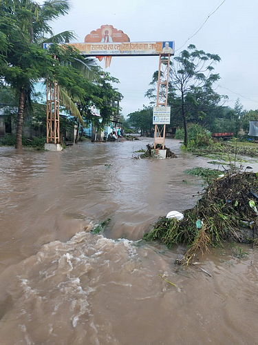 damage to agriculture due to havy rains in rahuri taluka