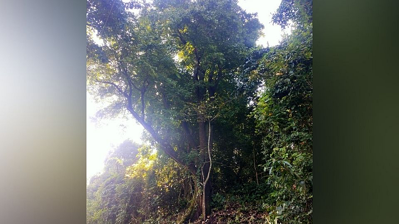 kokan