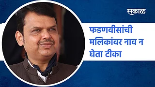 फडणवीसांची मलिकांवर नाव न घेता टीका;पाहा व्हिडिओ}