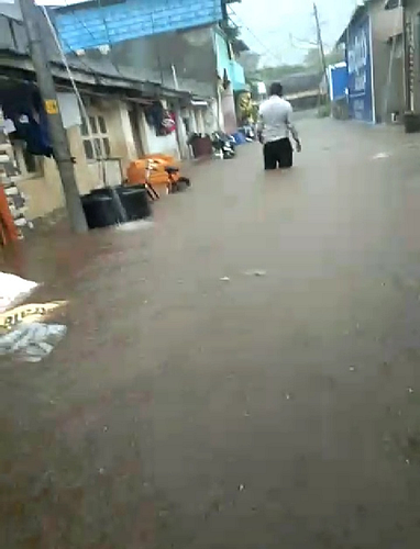 nipani
