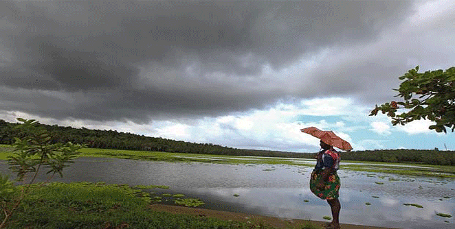 IMD : राज्यात विजांच्या कडकडाटासह पावसाची शक्यता