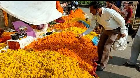 Dasara Festival News