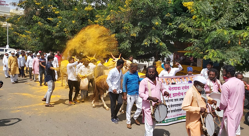 बैलगाडा शर्यती पुन्हा सुरू कराव्यात, बैलगाडा मालकांची मागणी