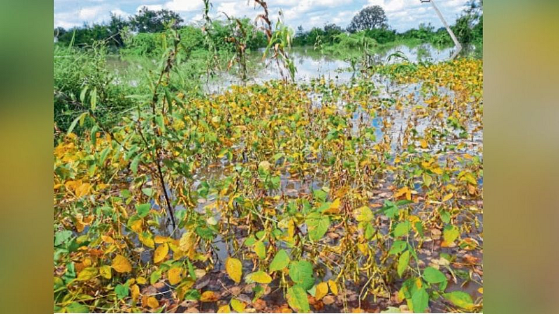 Latur : बांधांसह डोळ्यांच्या कडाही ओल्याच
