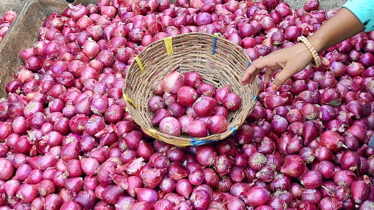 कांद्याच्या दराला लागणार दृष्ट! 40 टक्के निर्यात शुल्कामुळे शेतकरी संतप्त | Onion Export Duty Hike Farmers angry over 40 percent export duty nashik | Sakal