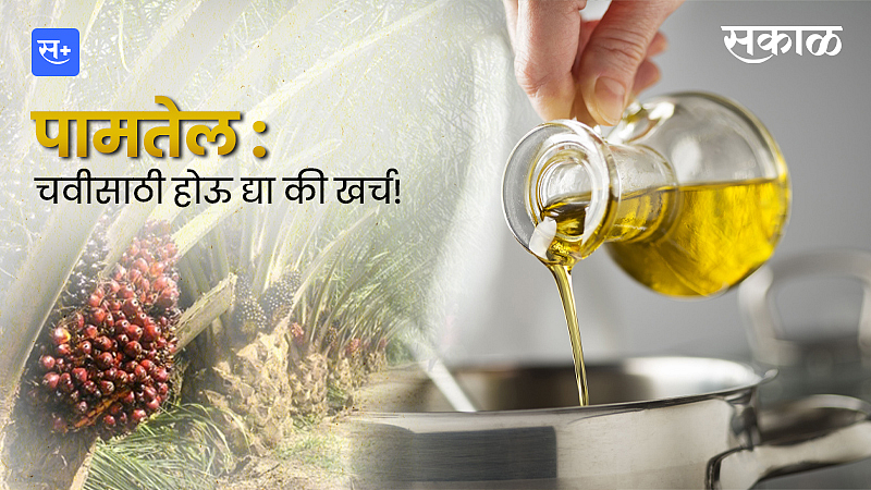 पामतेल : चवीसाठी होऊ द्या की खर्च!}