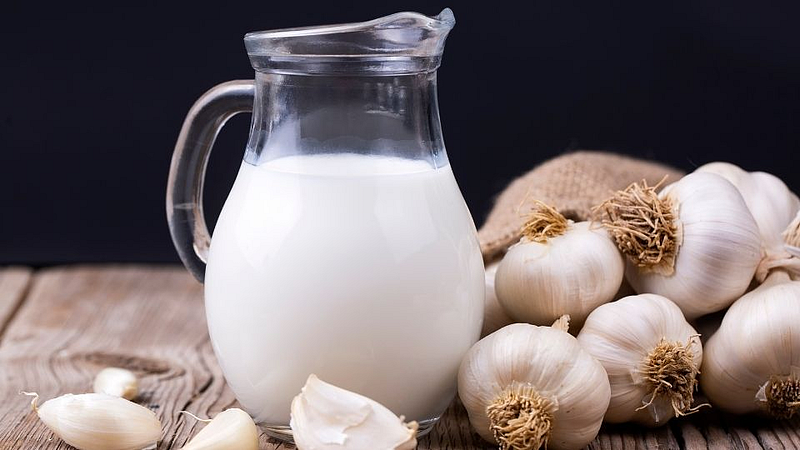 Garlic Milk प्यायलात का? हे आहेत 10 फायदे