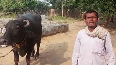 मध्य प्रदेशच्या शेतकऱ्याने म्हशीला नेले पोलिस ठाण्यात
