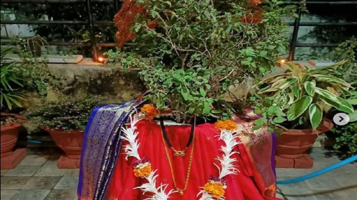 Tulsi Vivah 2022