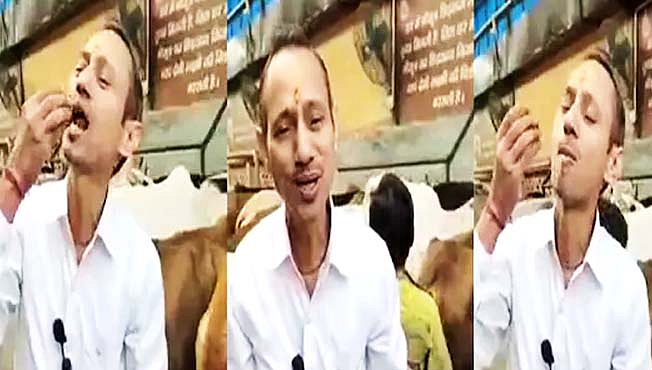 Doctor Eat Cow dung
