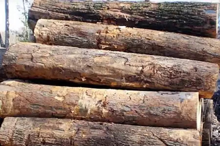 khair wood