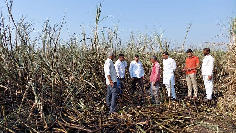 होय! वीजकंपनीकडून झालेल्या ऊस जळीताची भरपाई मिळू शकते