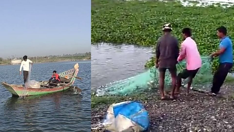आज जागतिक मत्स्यदिनी 'उजनी' परिसरातील मच्छिमार संकटातच!