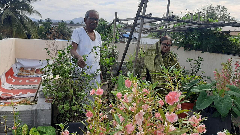 तळजाई पठार येथील कडू दांपत्यानी ओल्या कचऱ्यापासून गच्चीवर फुलवली बाग किसन कडू व सुरेखा कडू