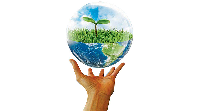 Environment