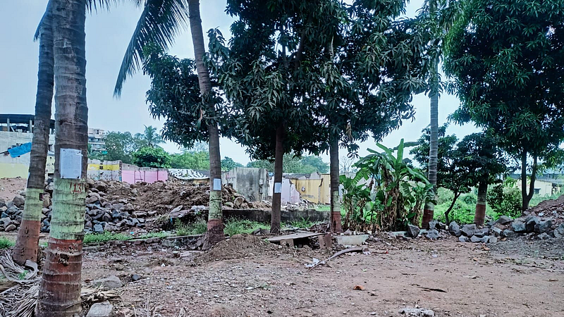 झाडांना खिळे पालिकेनेच ठोकले