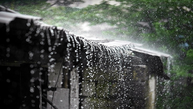 rain