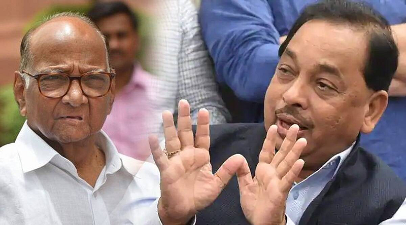 'खेळवत ठेवणं हेच शरद पवारांचं काम'; नारायण राणेंची खोचक टीका