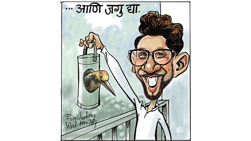 ढिंग टांग : पक्षी-सप्ताह : एक ‘पक्षीय’ दृष्टिकोन!