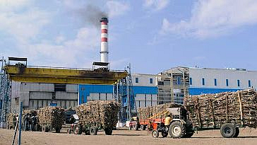 sugar factories