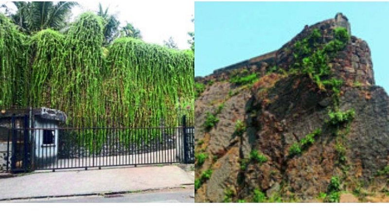 Sion Fort